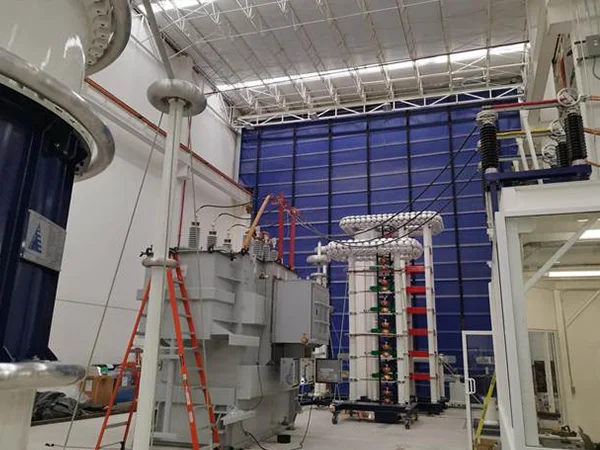 High-voltage pulse generator project completion site